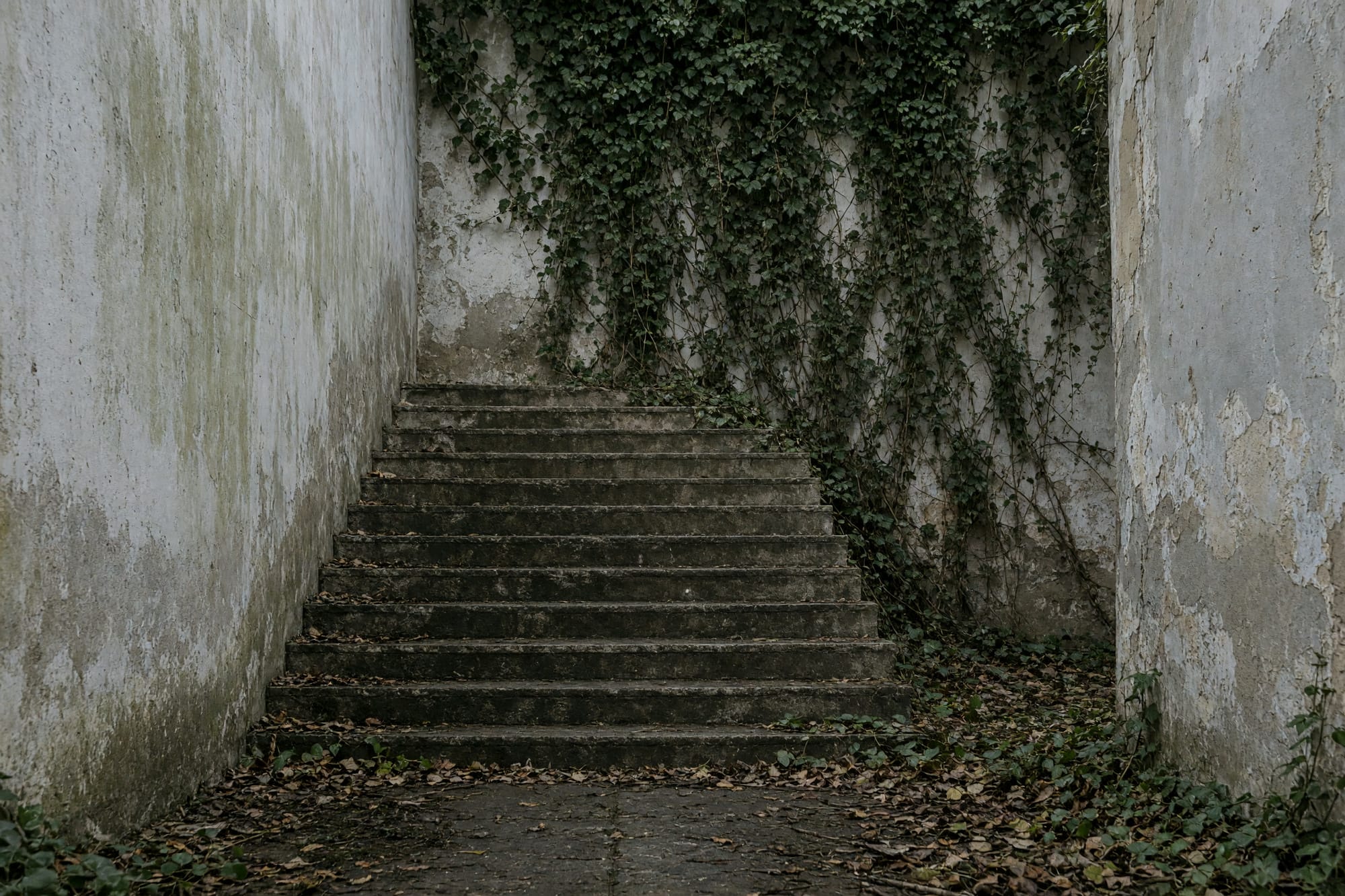 A staircase to nowhere with its treads intact and ivy on the wall behind