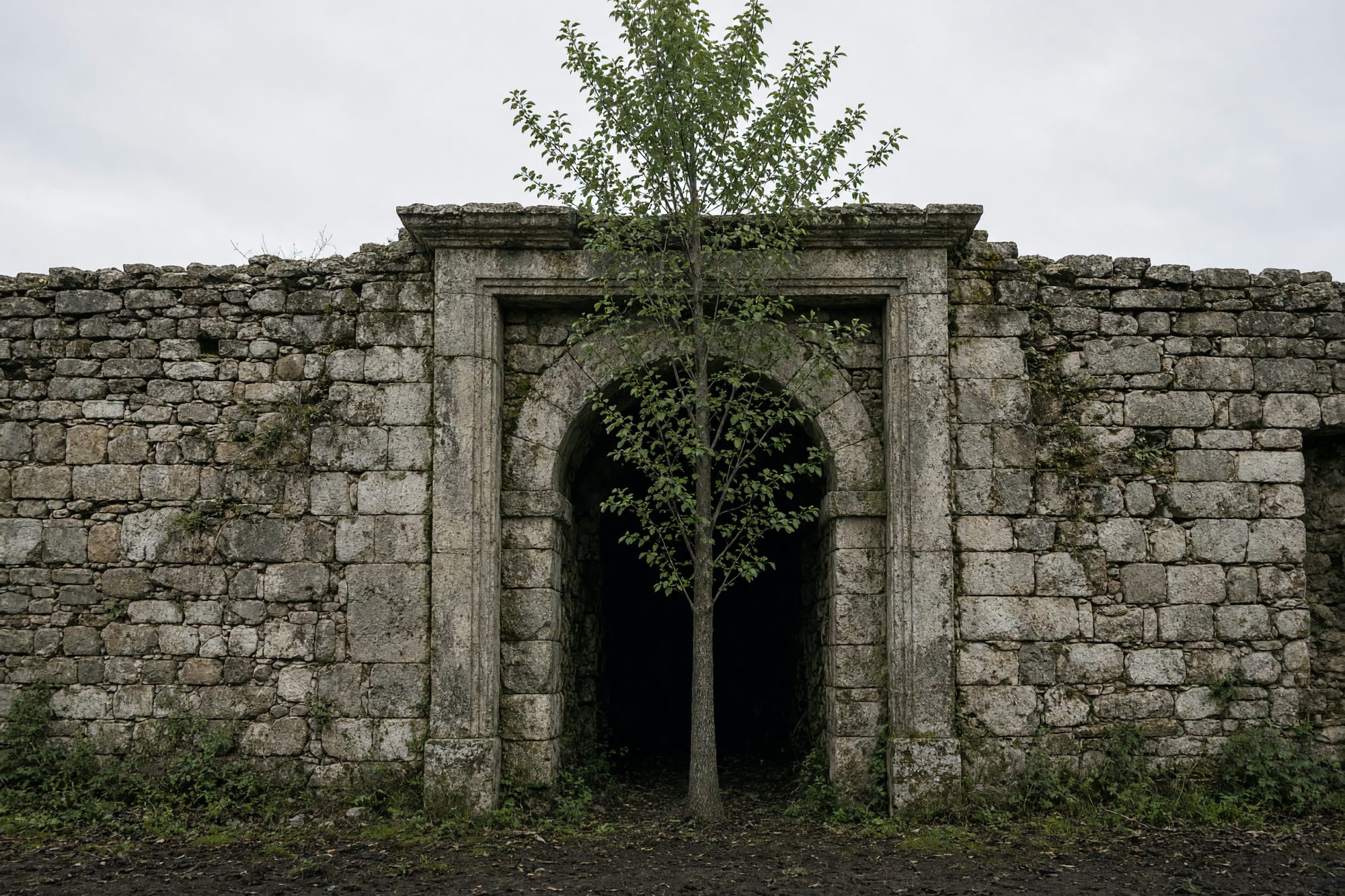 A stone doorway with a young tree growing squarely through it