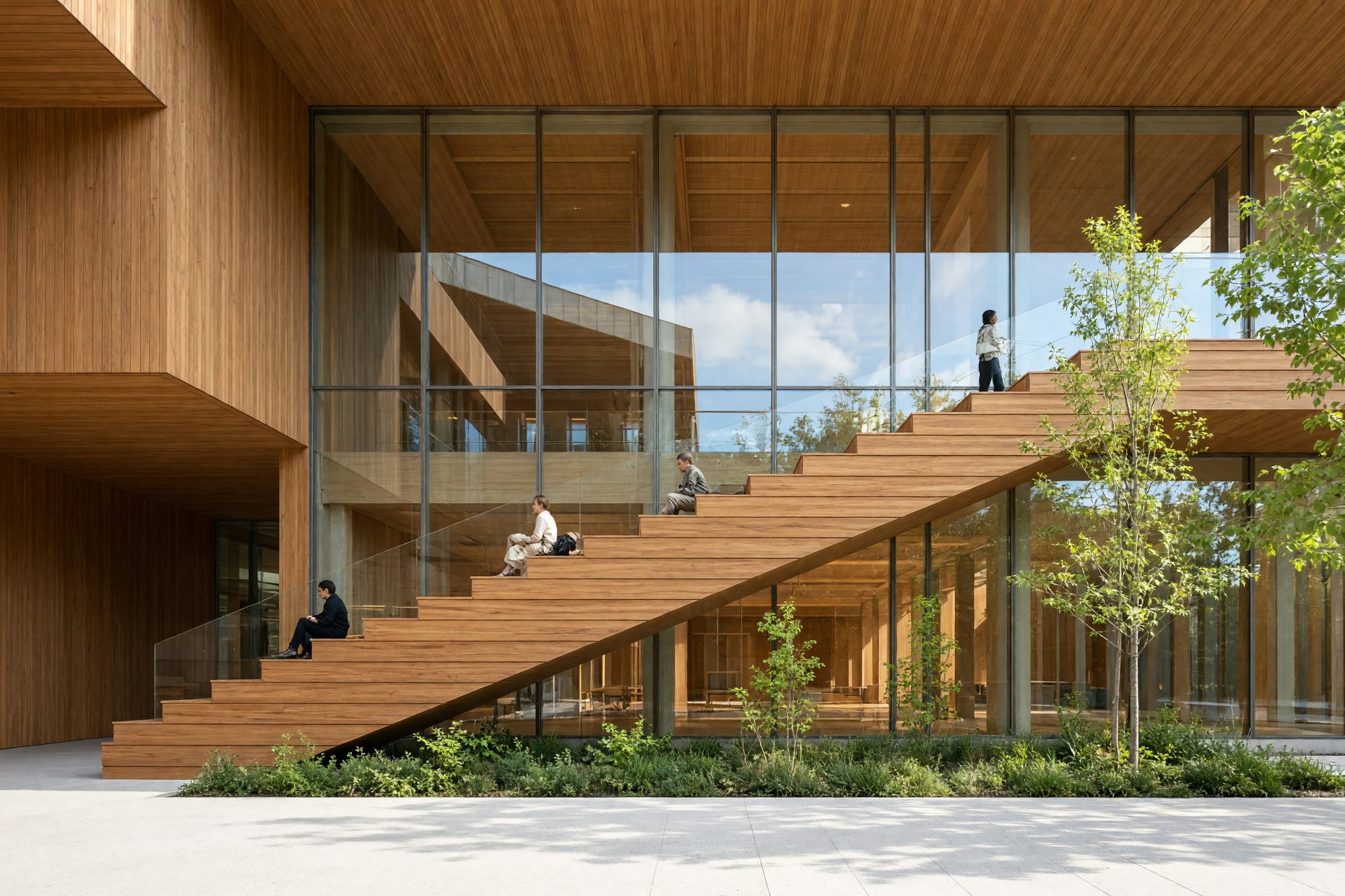 A social stair in solid timber with people sitting on the treads