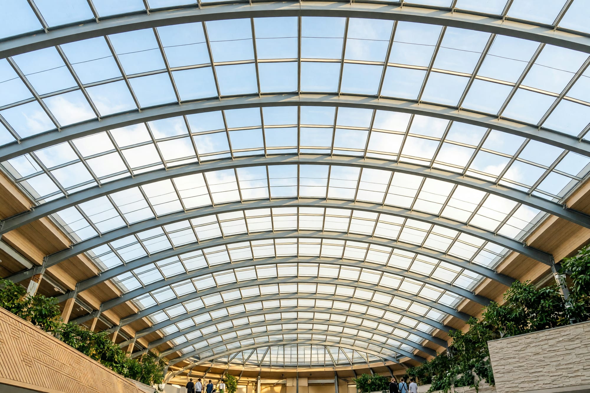 Looking straight up into a structural glass roof with the steel ribs receding