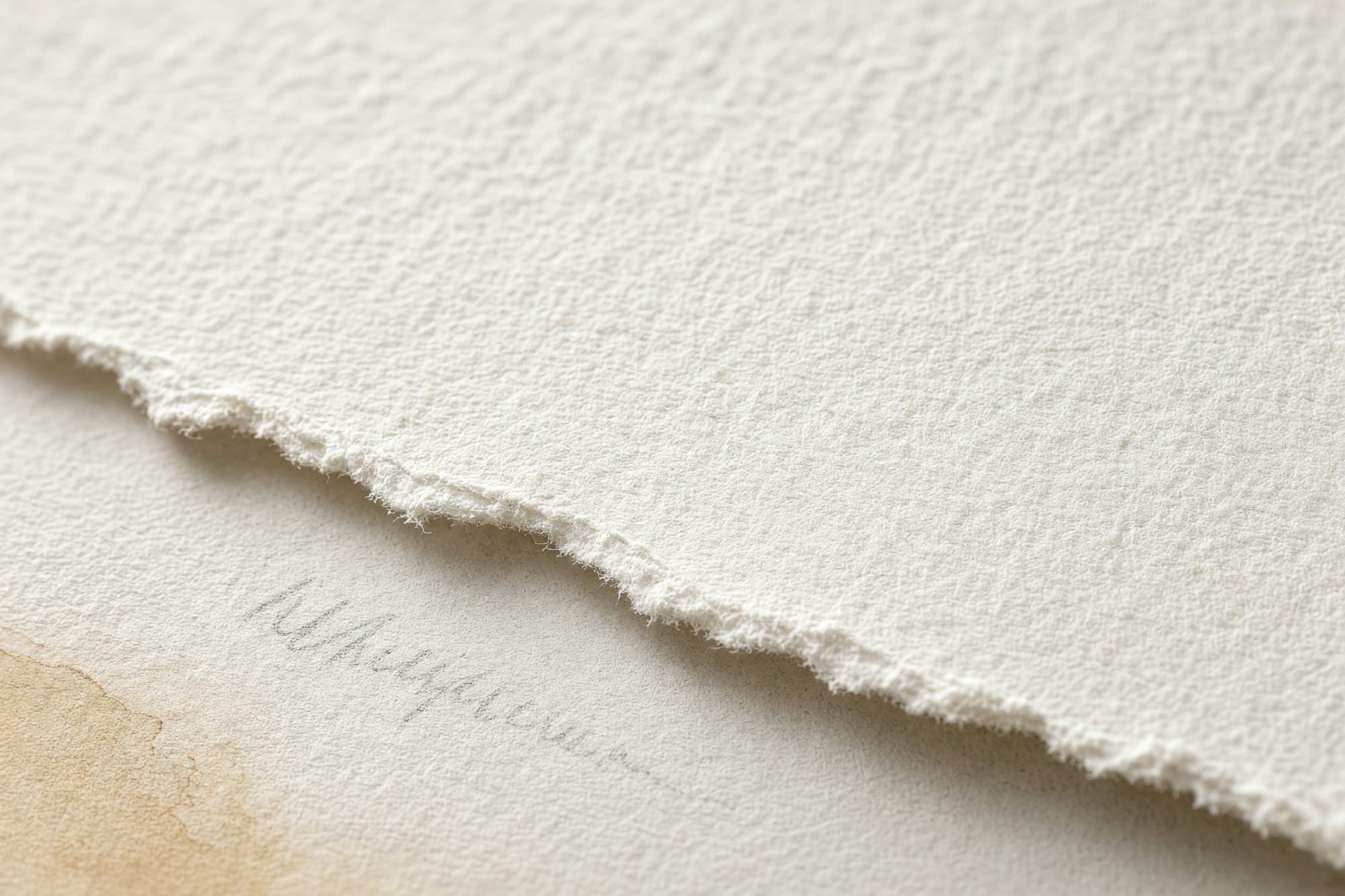 Macro of cotton rag paper with a torn deckle edge and a pencil signature