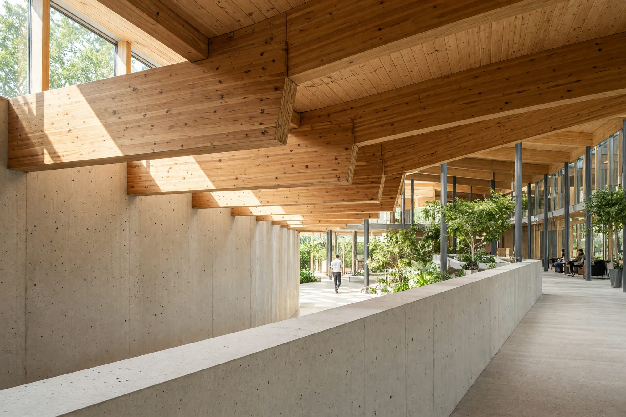 The junction where timber roof beams land on a concrete upstand with daylight raking across
