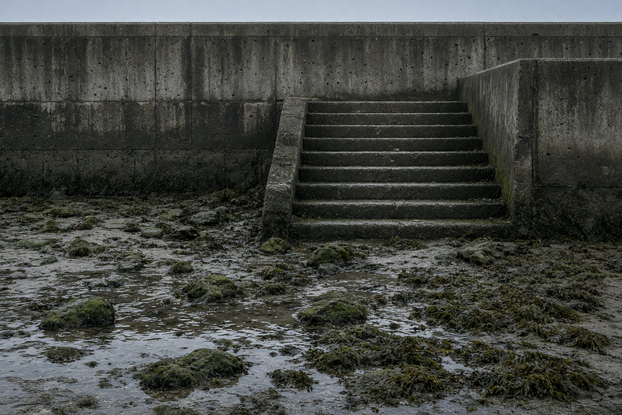A sea wall and steps at low tide, wet stone and weed